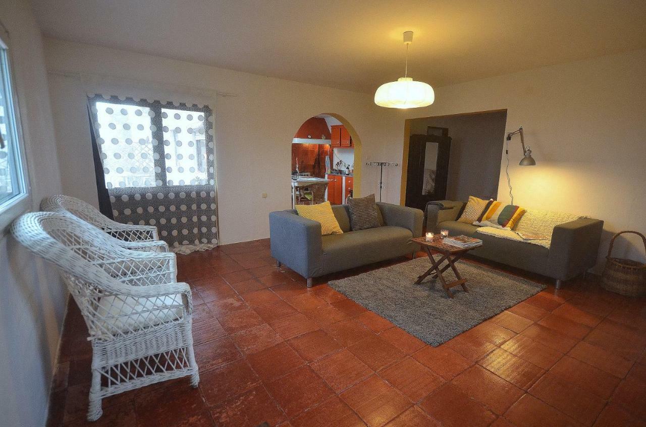 Happy Cat House - Holiday Rental Сан-Мартинью-ду-Порту Экстерьер фото