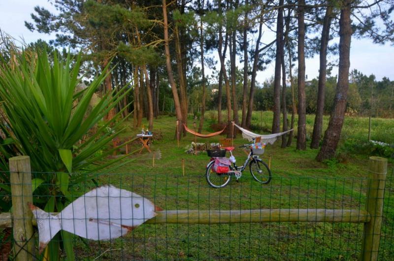 Happy Cat House - Holiday Rental Сан-Мартинью-ду-Порту Экстерьер фото